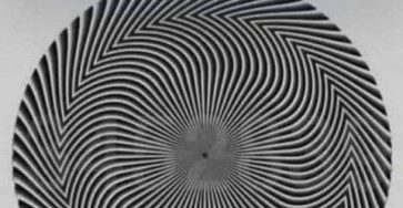 743425219 122134421787043183 8993546195439449733 n