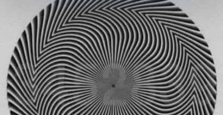 743425219 122134421787043183 8993546195439449733 n