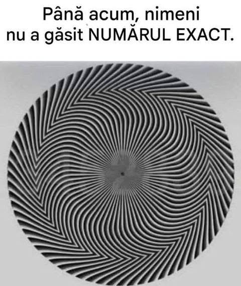 743425219 122134421787043183 8993546195439449733 n