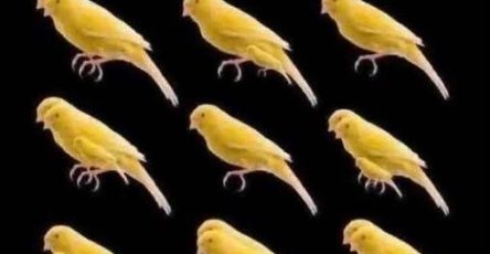 745769645 1381384660722922 727001451663715296 n
