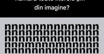 746294952 1010893018498273 1716299059454043564 n (1)