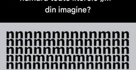 746294952 1010893018498273 1716299059454043564 n (1)