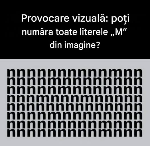 746294952 1010893018498273 1716299059454043564 n (1)