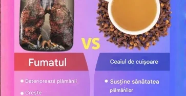 Cura ti plamanii opreste tusea in trei zile ret 2026 03 09