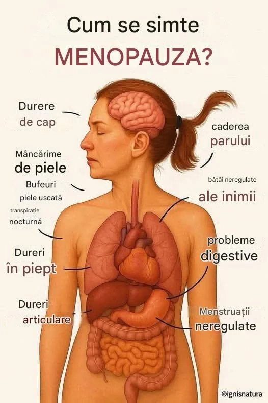 Menopauza precoce 2026 03 23