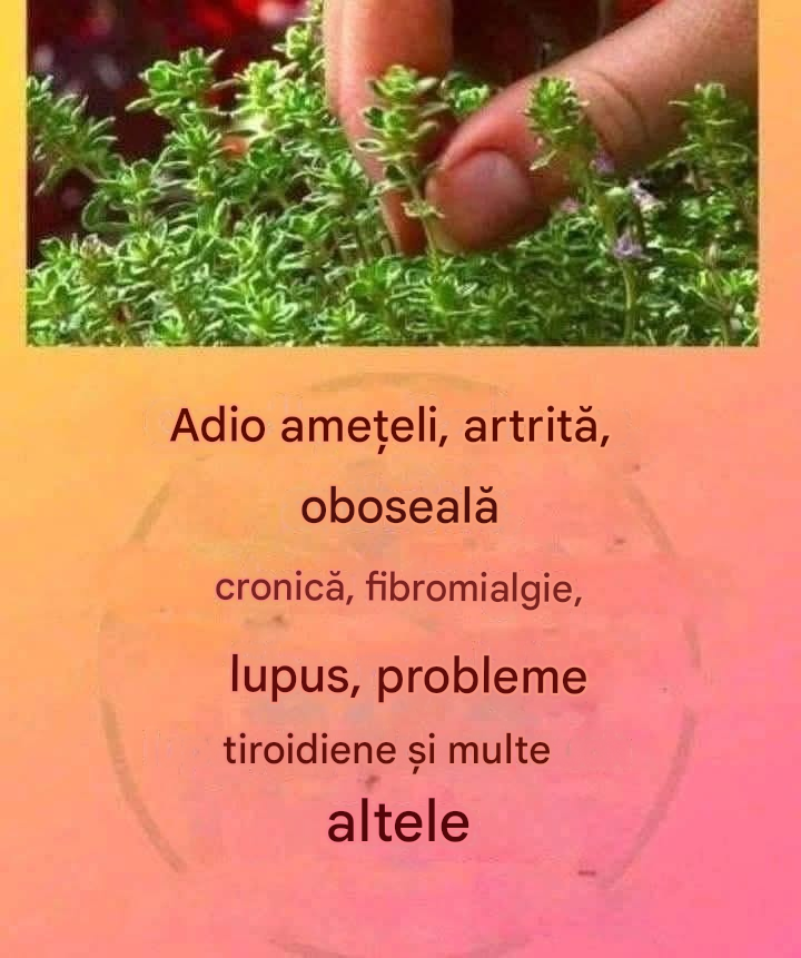 Translated image ro 2026 07 15T194456.741