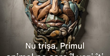Translated image ro