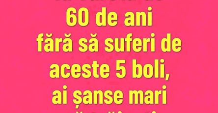003e2429da5b3e8ba8284604ad66e62d 750x1000 1 (1)