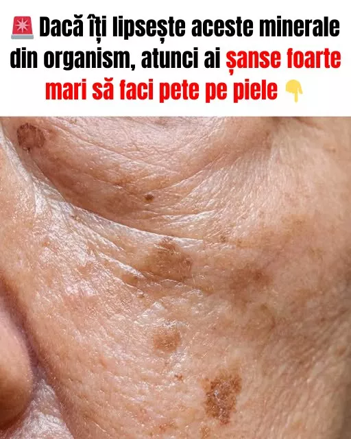 67e66d977d92462835a7eb6a765b648f