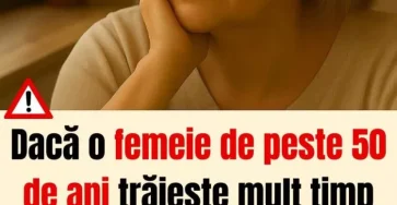 FB IMG 1766137686873 750x904