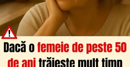 FB IMG 1766137686873 750x904